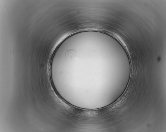 X0000091071243200708061016