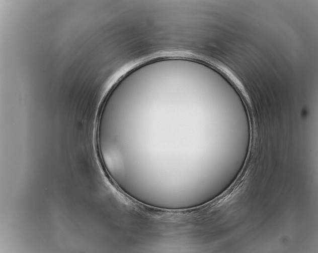 X0000091071245200708061016