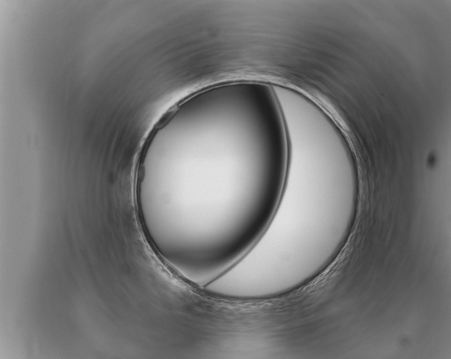 X0000091071246200708061016