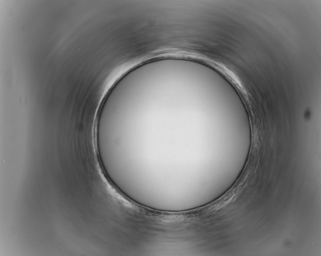 X0000091071247200708061016