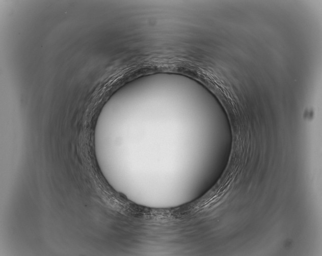 X0000091071249200708061015