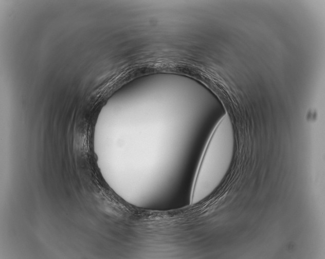 X0000091071250200708061015