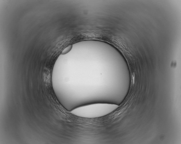 X0000091071251200708061015