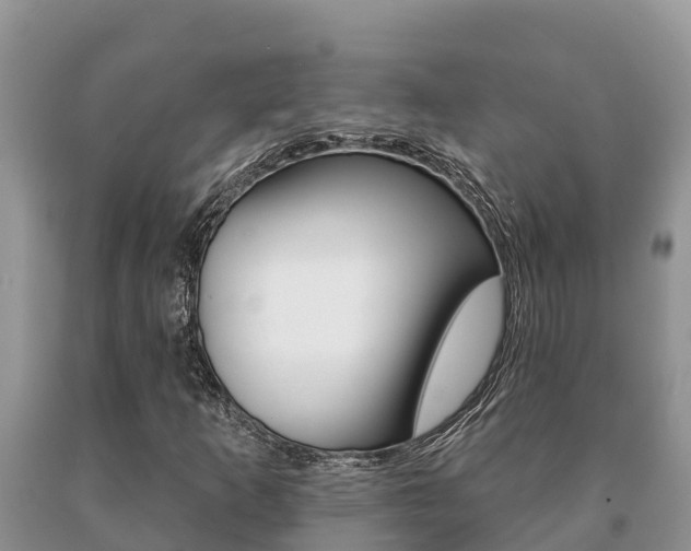 X0000091071253200708061015