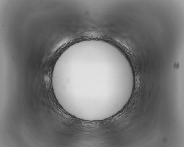 X0000091071254200708061015
