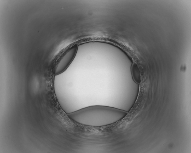 X0000091071255200708061015