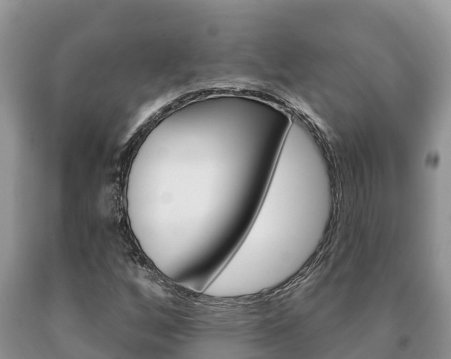 X0000091071256200708061015