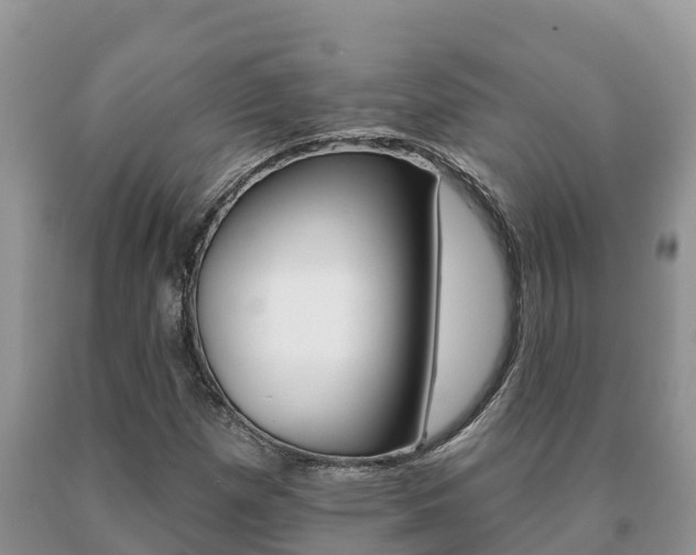 X0000091071257200708061015