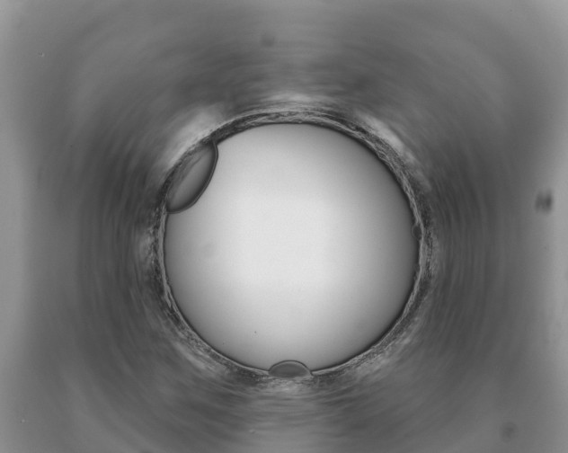 X0000091071259200708061015