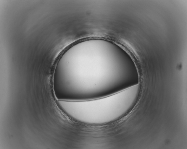X0000091071260200708061015