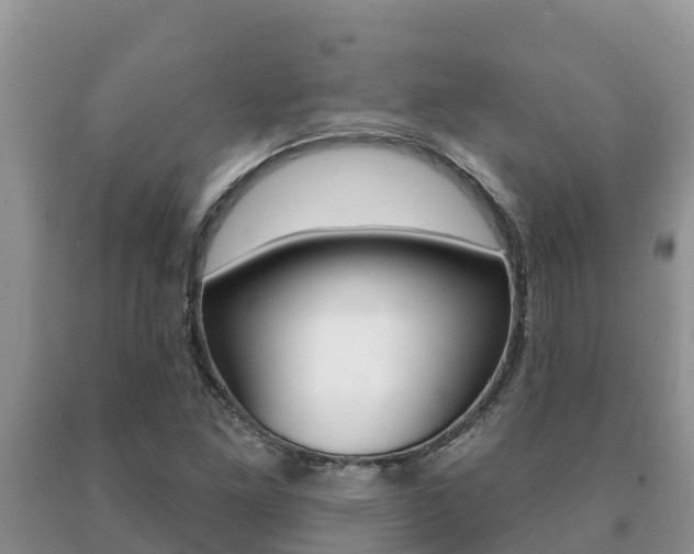 X0000091071261200708061015