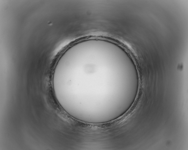 X0000091071263200708061015