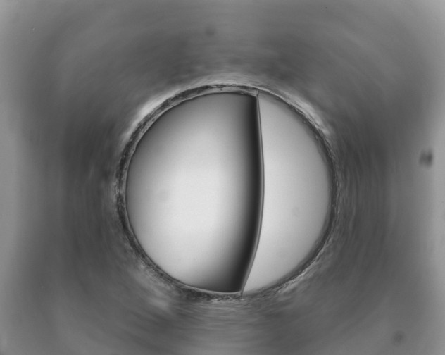 X0000091071264200708061015