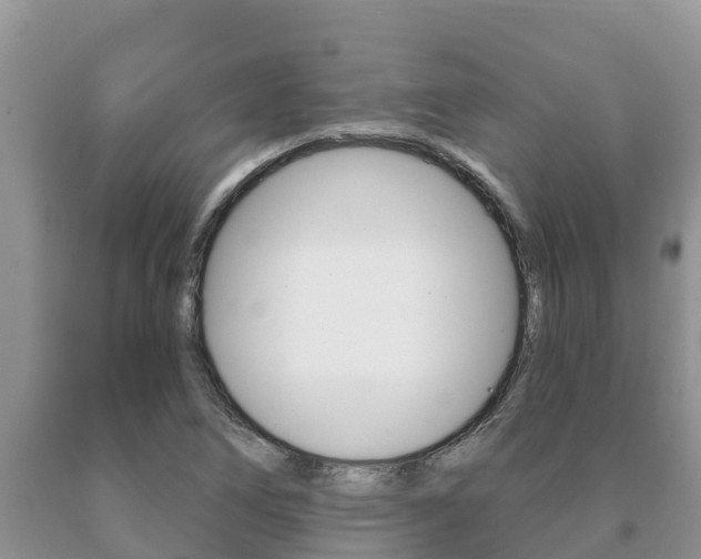 X0000091071266200708061015