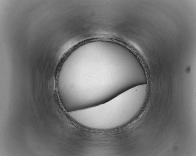 X0000091071267200708061015