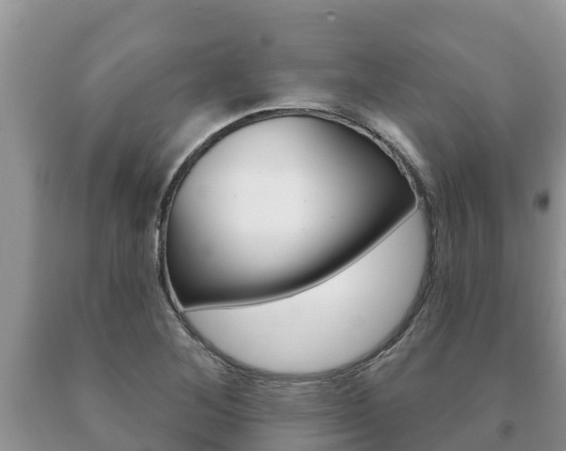 X0000091071268200708061015
