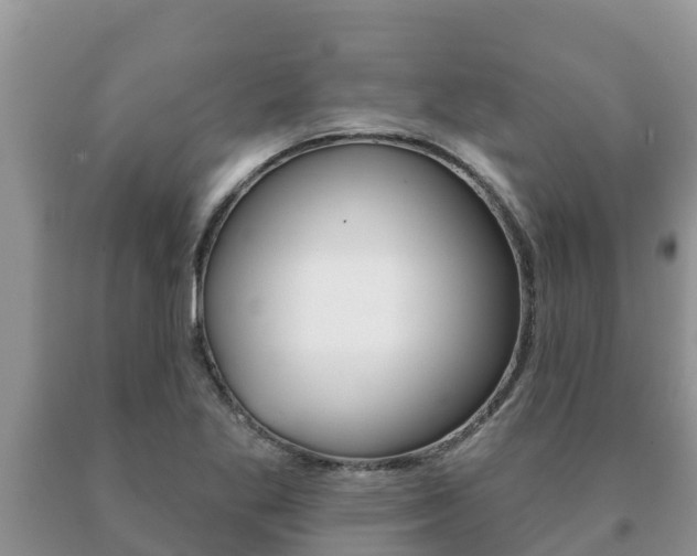 X0000091071269200708061015
