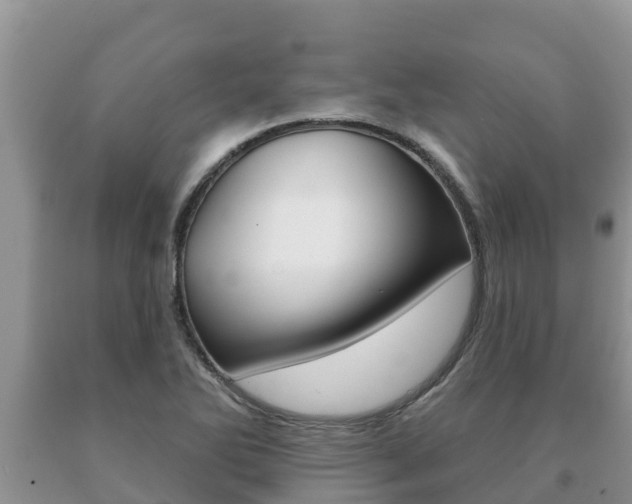 X0000091071270200708061015