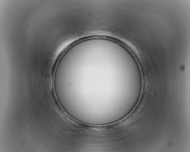 X0000091071271200708061015