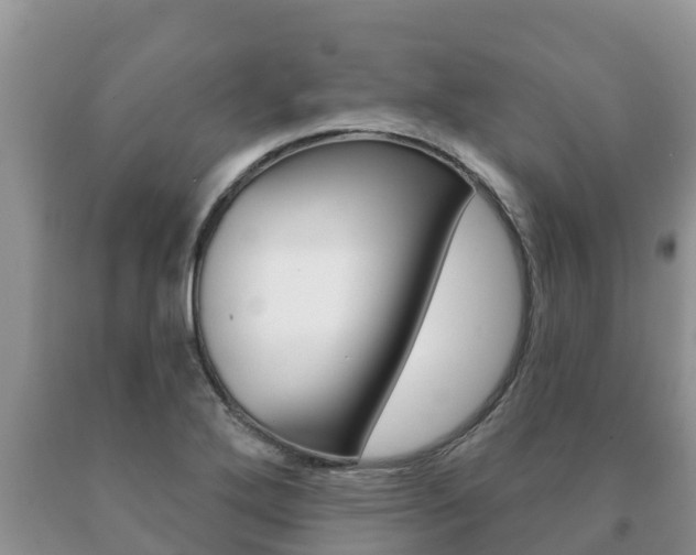 X0000091071272200708061015