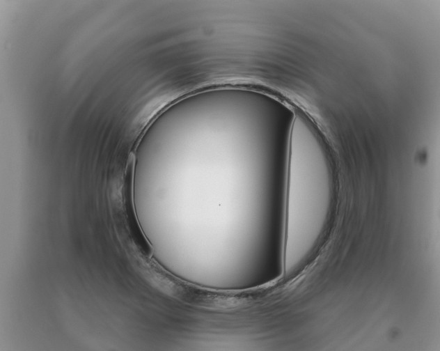 X0000091071273200708061015