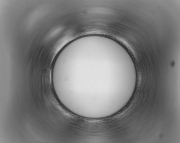 X0000091071274200708061015