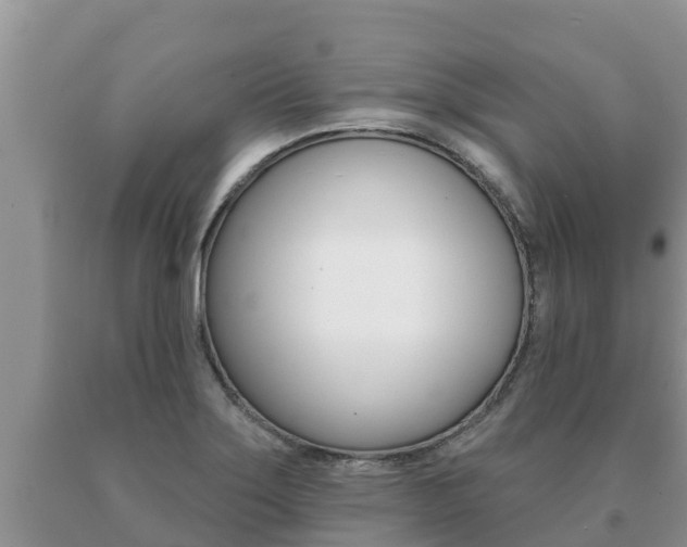 X0000091071275200708061015