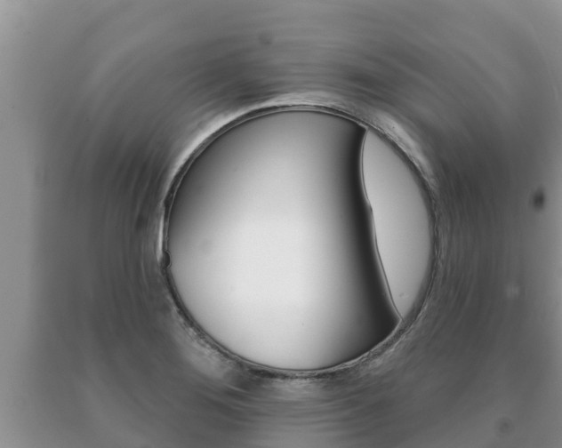 X0000091071276200708061015