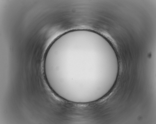 X0000091071278200708061015
