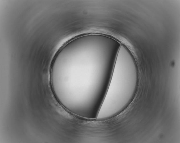 X0000091071280200708061015