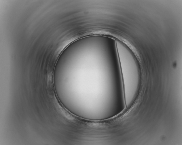 X0000091071281200708061015