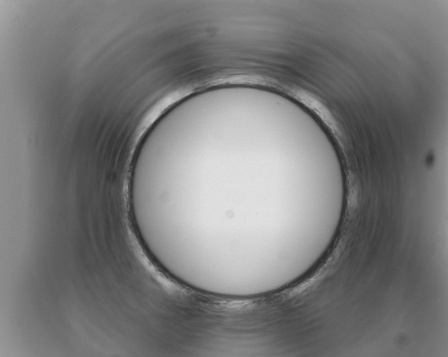X0000091071282200708061015