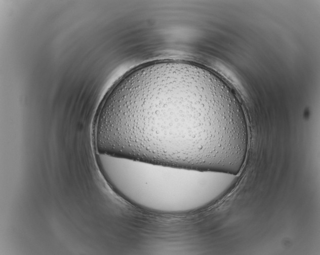 X0000091071283200708061015