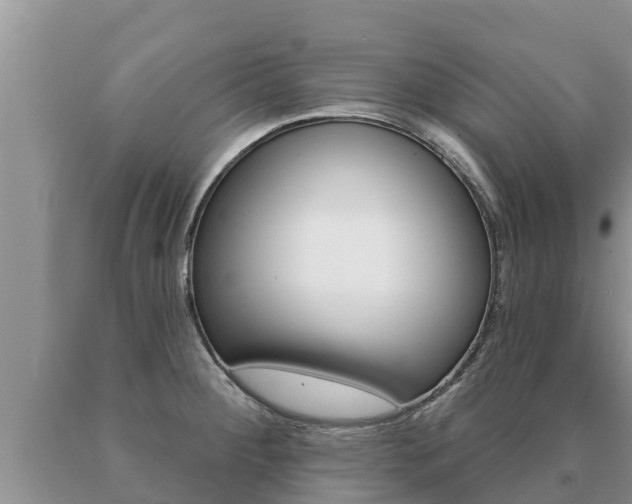 X0000091071284200708061015