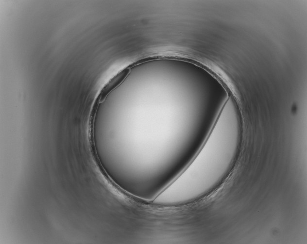 X0000091071285200708061014