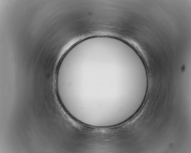 X0000091071286200708061014