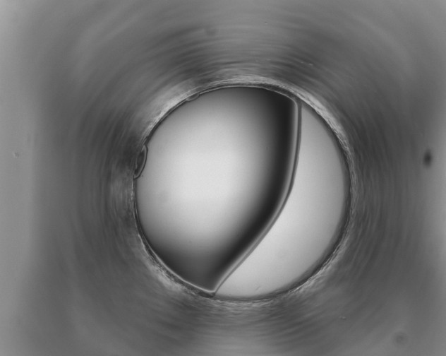 X0000091071289200708061014