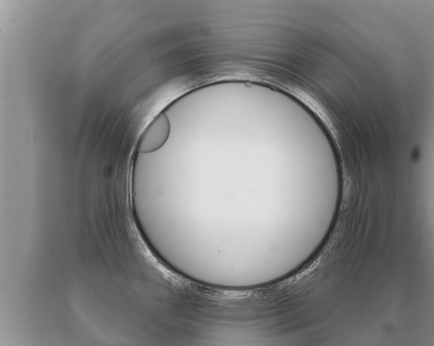 X0000091071290200708061014