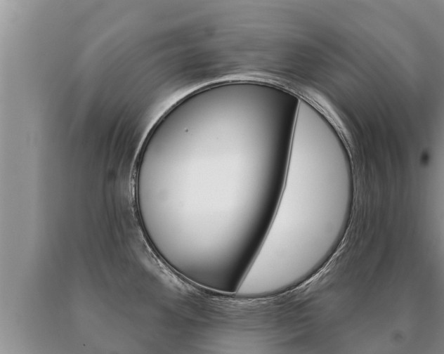 X0000091071292200708061014