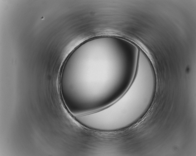X0000091071293200708061014