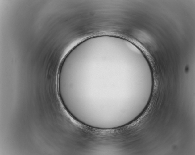 X0000091071294200708061014