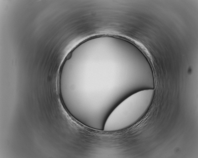 X0000091071295200708061014