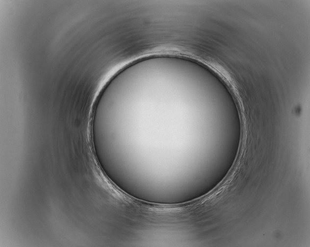 X0000091071296200708061014