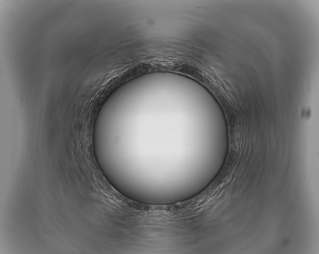 X0000091071297200708061014