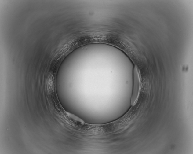 X0000091071298200708061014