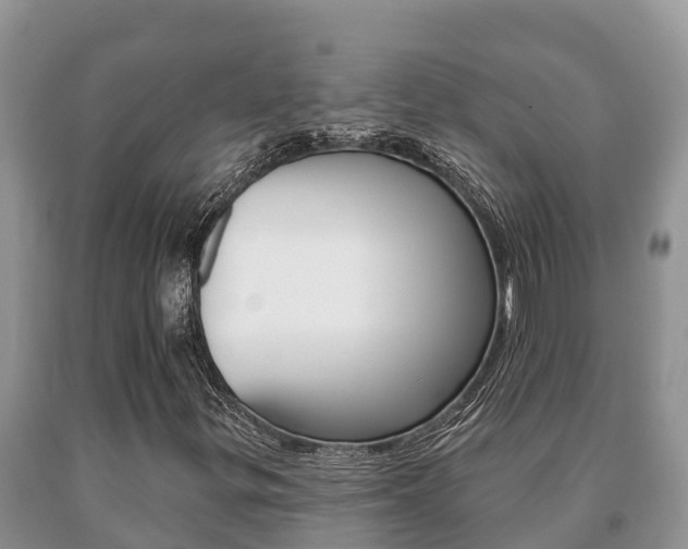 X0000091071299200708061014