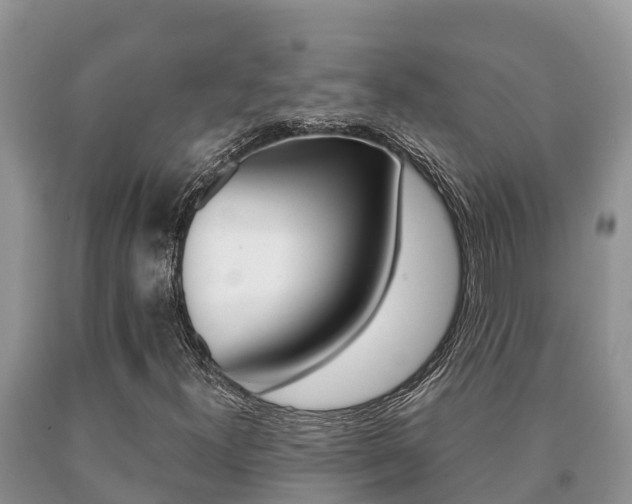X0000091071300200708061014