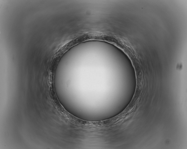 X0000091071301200708061014