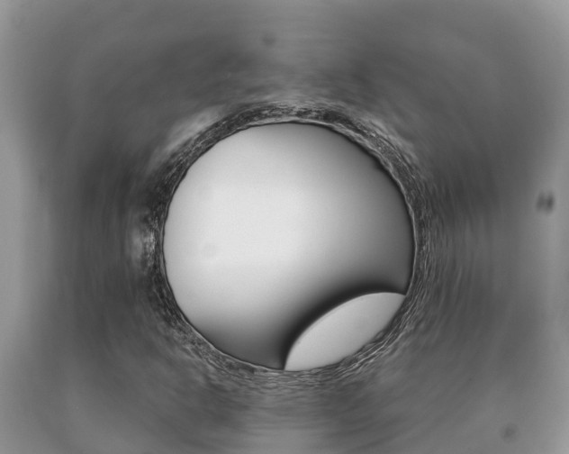 X0000091071302200708061014