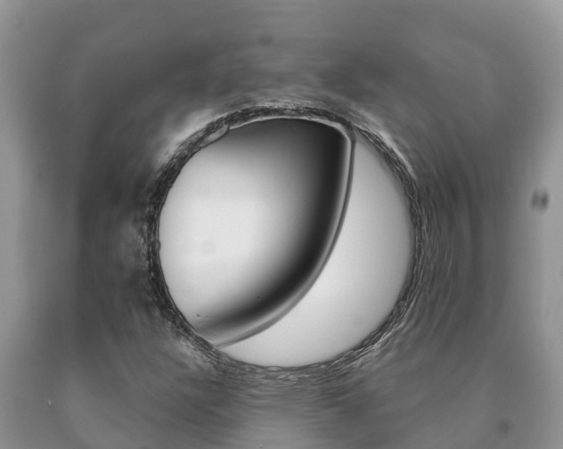 X0000091071304200708061014